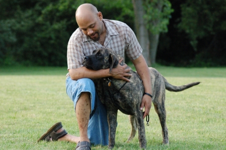 My Pal        JADA 1 yr.old English Mastiff