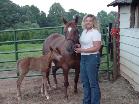 Our First Colt