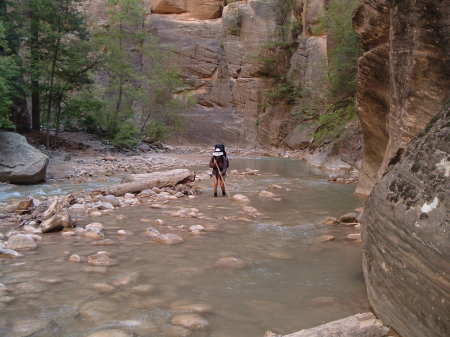 the narrows