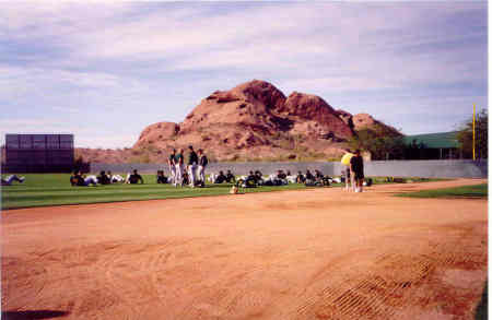 oakland a's spring training 2003
