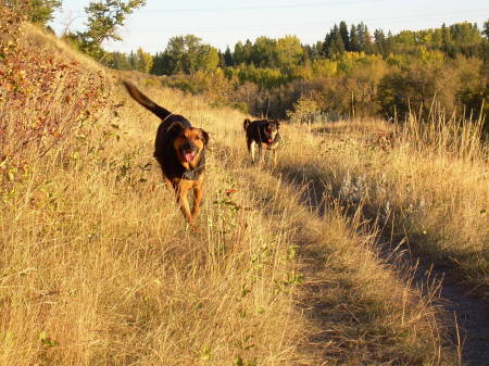 Melvin and Daisy