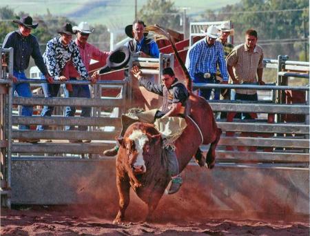 Parker Ranch Rodeo