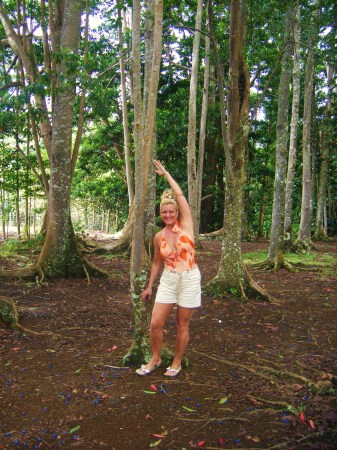 secret garden rain forest kauai