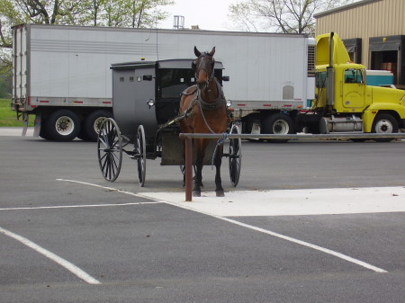 Amish in Delaware