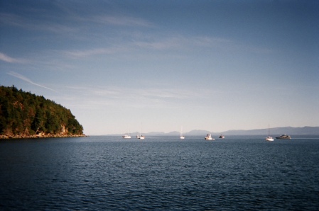 Tribun Bay
