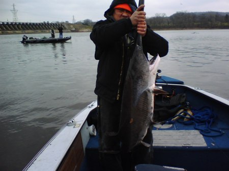 40 lbs paddlefish