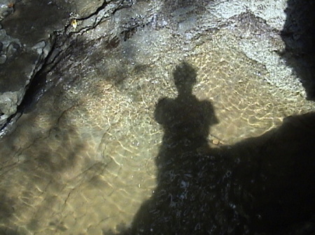 Shadow in a midwest stream. Clifty Falls