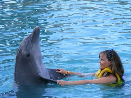 Dolphin Shake in Cozumel