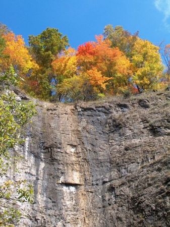 Autumn at Natural Tunnel