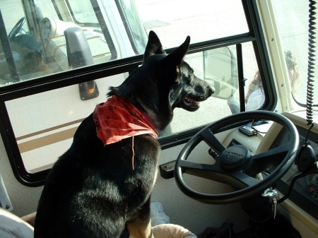 Watchdog driver