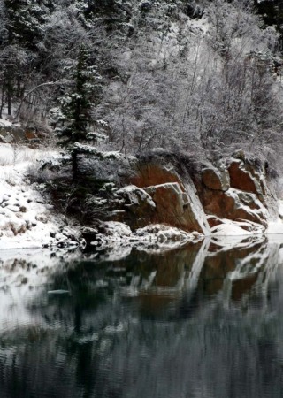 watertrees