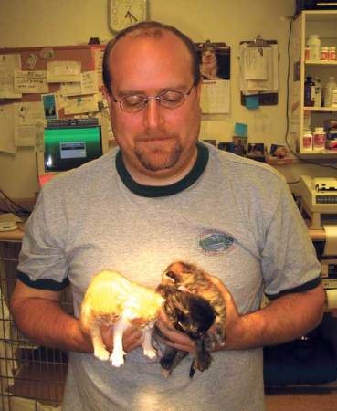 Handful o Kittens