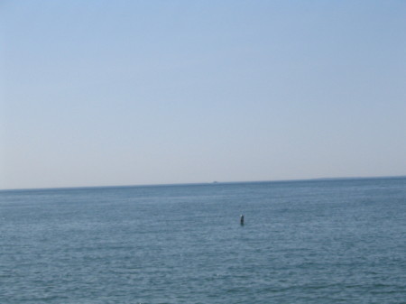 Vineyard Sound #2