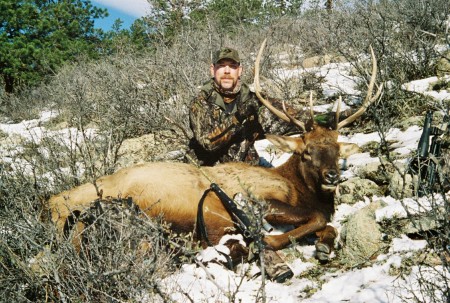 2006 Bull Elk