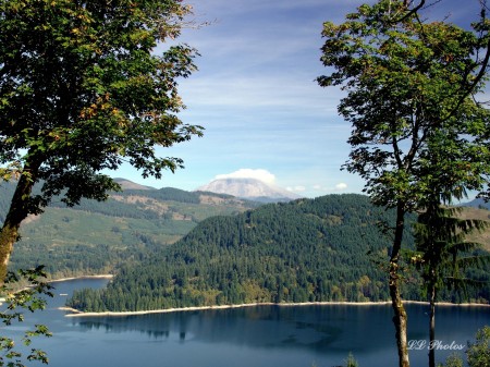 Mt. St. Helens