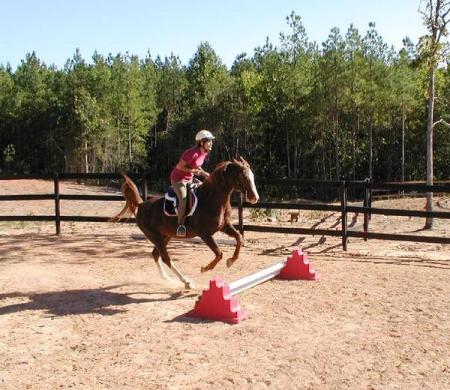 Practicing our jumping.