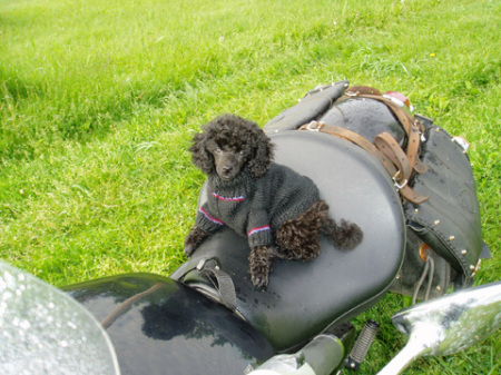 biker billy