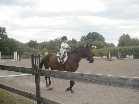 English Horse Show Competition