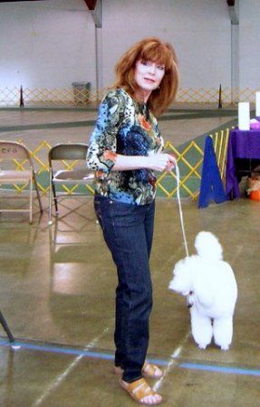 Socializing a Puppy at a Dog Show