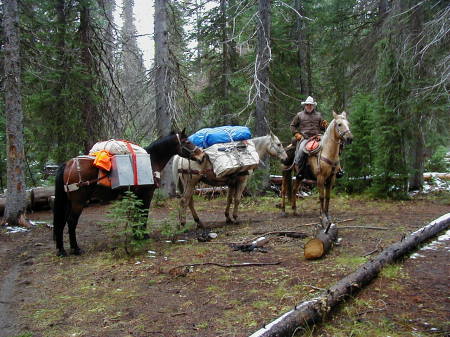 Idaho Elk Hunt