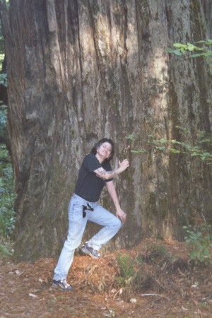 We really do hug trees in California