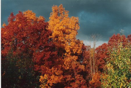 New hampshire