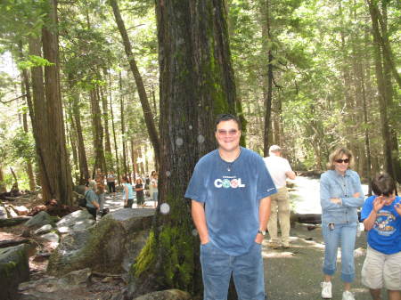 Yosemite, 2006