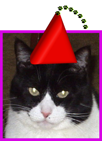 mick party hat