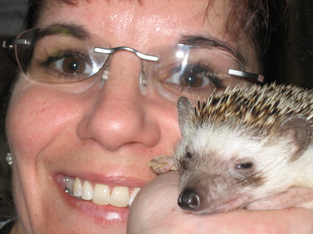 At work with a hedgehog