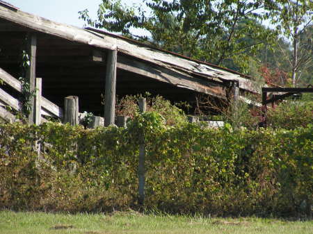 country shed