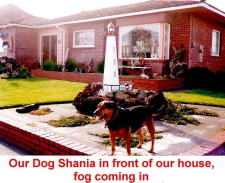 our dog shania in front of our house