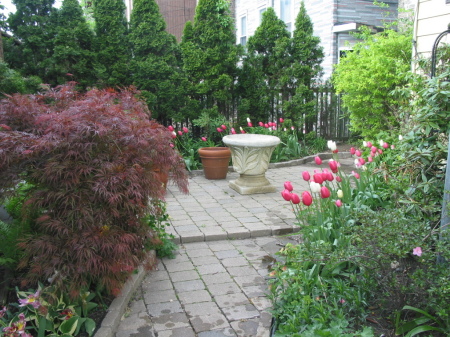 NORTH SIDE OF THE GARDEN-EARLY IN THE SEASON