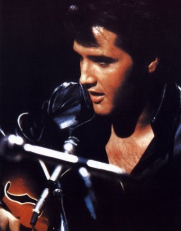 elvis