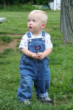 Jax wants to play T-Ball too - May 2008