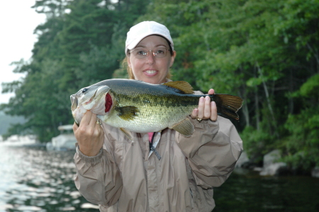 A Maine fish