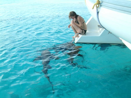 Feeding the resident sharks-Exumas/2007