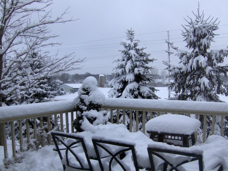 I love snow!  The back deck, Dec. 2007