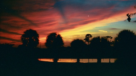 beautiful backyard sunset