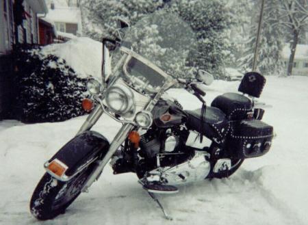 Snow Harley