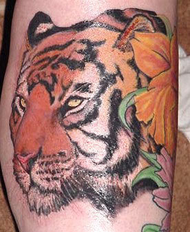 Tiger Tattoo