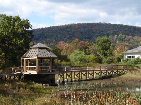 Blackthorn B&B in Upperville Virginia