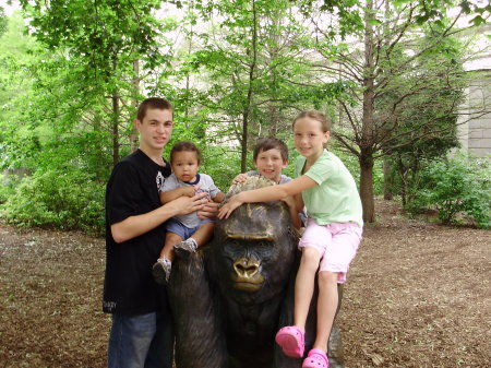 Brookfield Zoo--June '08