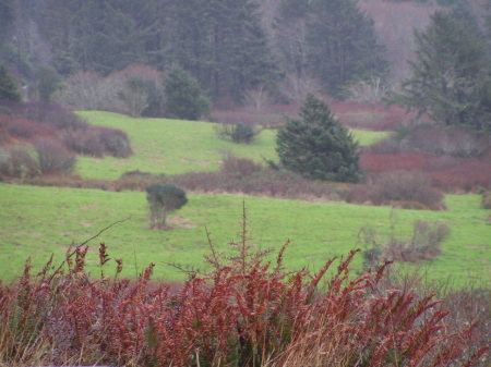 Oregon coast valley