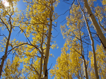 Fall in the Rockies