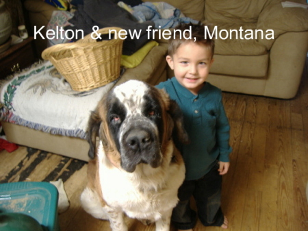 Kelton & 115# Saint Bernard- Montana