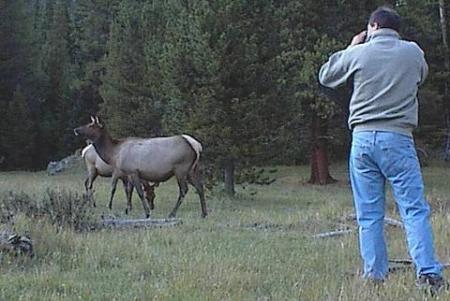 At Rocky Mountain National Park, Colorado