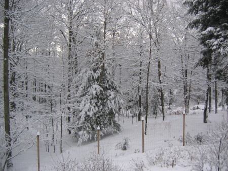 2nd snow storm of 2007