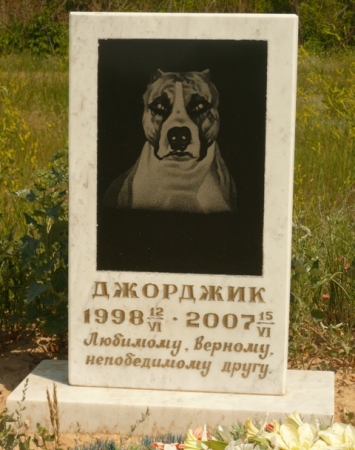 Dog grave