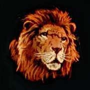r l turner lions