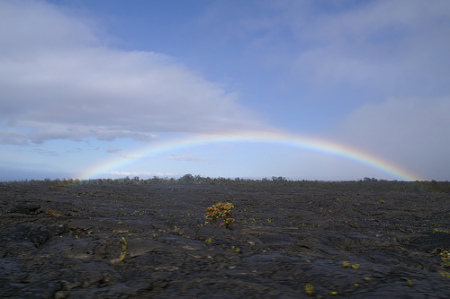 Hawaiian Rainbow